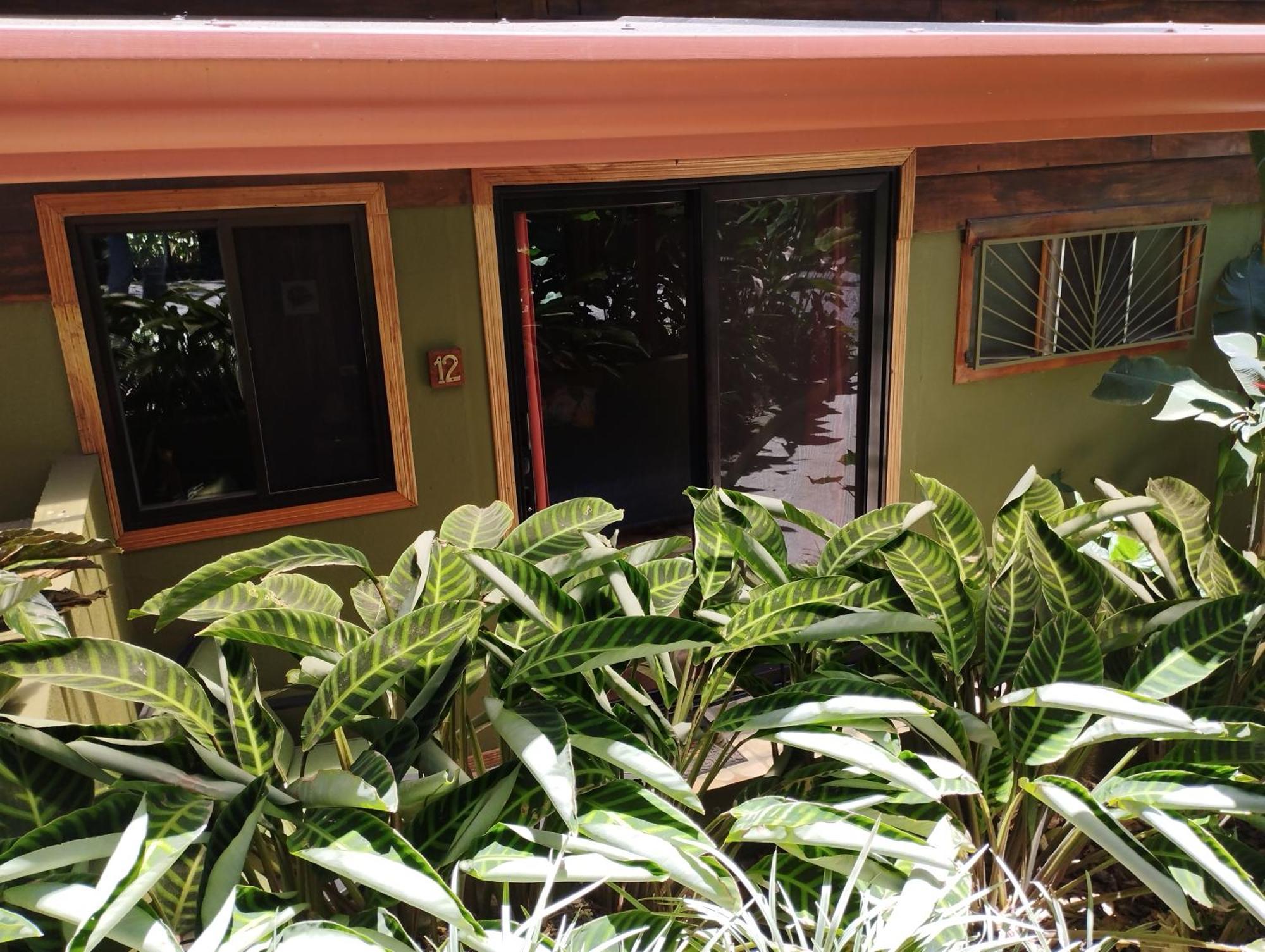 Cala Lodge Monteverde Εξωτερικό φωτογραφία